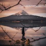 寒风飘雪的个人资料头像