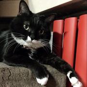 自由579的个人资料头像