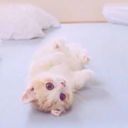 用户2046133143517的个人资料头像