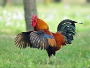 hsyyy的个人资料头像