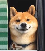 是_菜鸟啦的个人资料头像