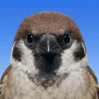 用户1749830259107头像