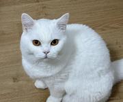 Allen王的个人资料头像