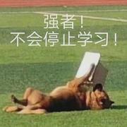 学习了咩的个人资料头像