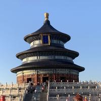 酒酿元宵129头像