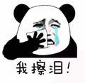 南昌熊满仓头像