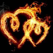 bao4541110的个人资料头像