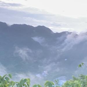 大白雨里抱抱头像