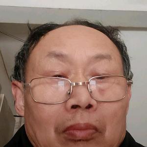 灵巧轮船pcr头像