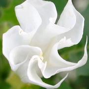 LiChao14297的个人资料头像