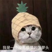 68kk的个人资料头像