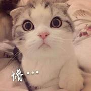 沫橪的个人资料头像