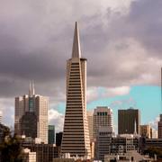 国际运费动态的个人资料头像