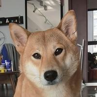 用户6880214891182头像