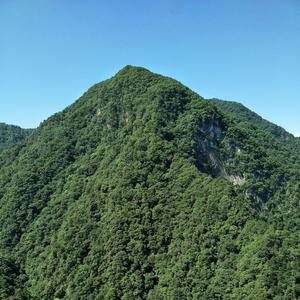 花田错影视剪辑头像