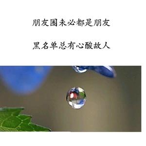 煑氿嘀肝头像