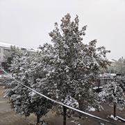 辛迪库奇多的个人资料头像