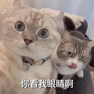 logoo77头像
