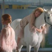 zengm的个人资料头像