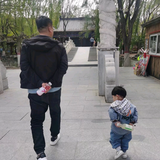 亲爱的大鹏哥头像
