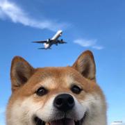 VTom的个人资料头像