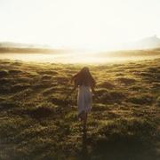 shaohuaqingfu的个人资料头像