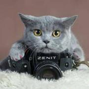 用户1165454807490的个人资料头像