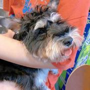 何必有名称的个人资料头像