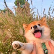 JH1856的个人资料头像