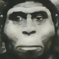 知情达理晚风CAw头像