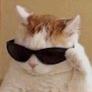 北冥有松的个人资料头像