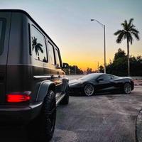 云淡风轻平步青云头像