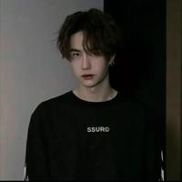 江南徐凤年头像
