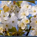 绿色心情4873头像