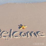 aiyohe的个人资料头像