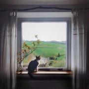 梁浩宇z的个人资料头像