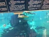 天之蓝海之阔675头像