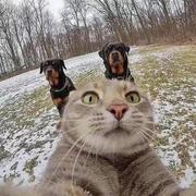 Mlogue的个人资料头像