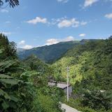 lyz城头像