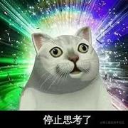 牛奶巧克力小笨笨的个人资料头像