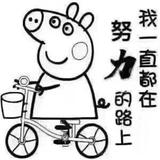 磐石20836716头像