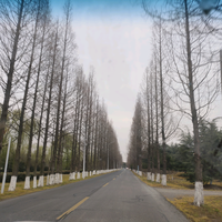 博学多才的分秒必争一生所爱头像