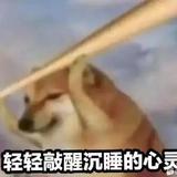 蓝桉槐鸟头像