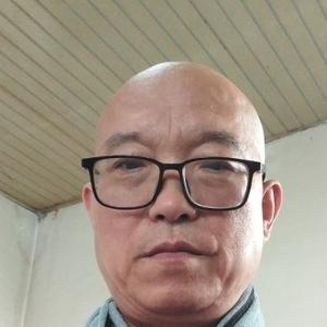 飞雪迎春1N3b头像