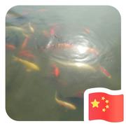 小绵的个人资料头像