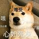 笑的很无趣头像