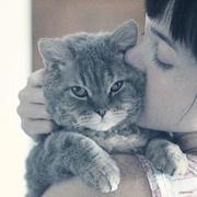 惠鑫宇的个人资料头像