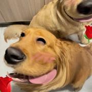 sixsixsix671的个人资料头像