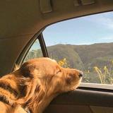 愉悦的松鼠uUY头像