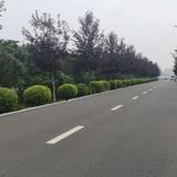 非凡远山wwx头像
